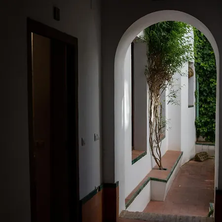 아파트 Patio De La Hoguera *