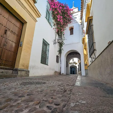 Patio De La Hoguera Apartment *